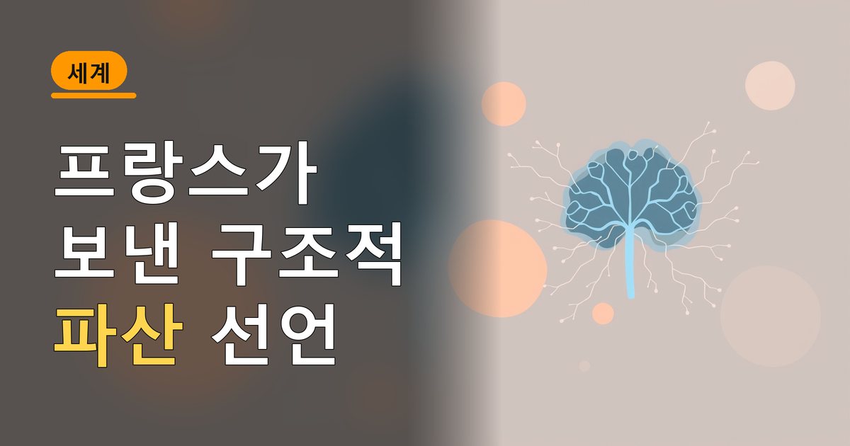 본문 이미지 1